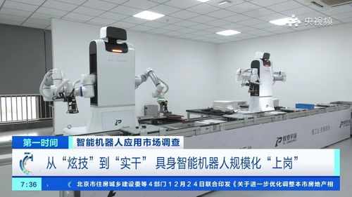 200元一天就能帶個(gè)機(jī)器人回家，具身智能加速走進(jìn)生活與工廠——廣西軟件開(kāi)發(fā)的機(jī)遇與挑戰(zhàn)