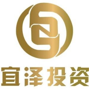 成都宜澤投資咨詢(xún) 專(zhuān)業(yè)服務(wù)，助力明智決策